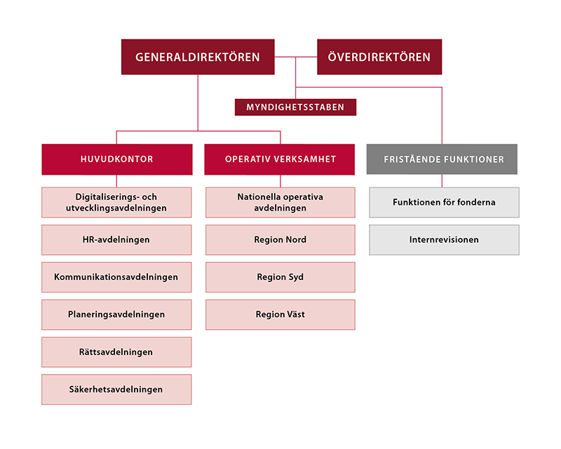 Organisationsskiss för Migrationsverket.