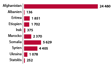 Country of origin for unaccompanied minors 2013-2023.