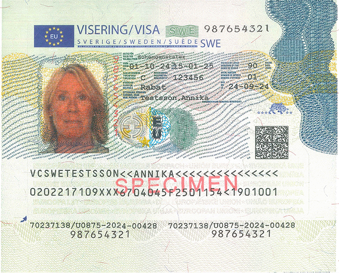 Image of a visa sticker