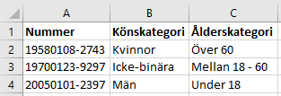 Skärmbild från ett Exceldokument som visar exempel på vad man ska fylla i.