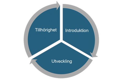 Digram som visar hur introduktion, utveckling och tillhörighet samverkar med varandra under traineeprogrammet.