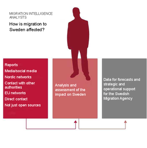 This image shows what a migration intellegence analysts does, witch sources they use and how their work is used by the agency.